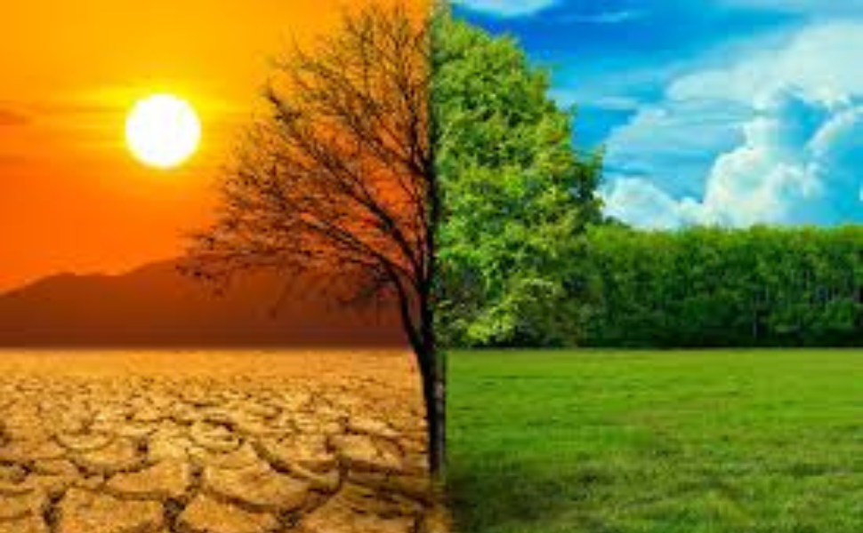 Causes et Conséquences du Changement Climatique