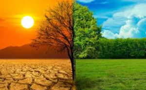 Causes et Conséquences du Changement Climatique