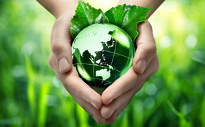 L'Écologie : Enjeux, Défis et Solutions