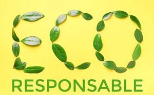 L'Éco-Responsabilité : Un Engagement envers la Planète