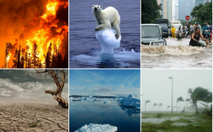 Quelles sont les conséquences du réchauffement climatique ?